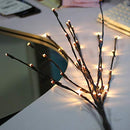 LED Light Bunch Stem - Warm White BATTERY fairy lights - 50cm high 20 bulbs/petals - NuSea