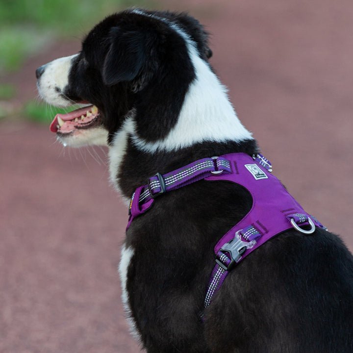 Lightweight 3M reflective Harness Purple 2XS - NuSea