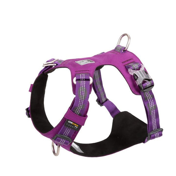 Lightweight 3M reflective Harness Purple 2XS - NuSea