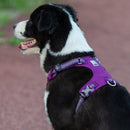 Lightweight 3M reflective Harness Purple L - NuSea