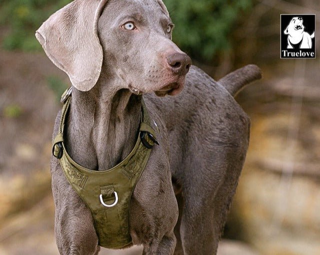 Lightweight Harness Army Green L - NuSea