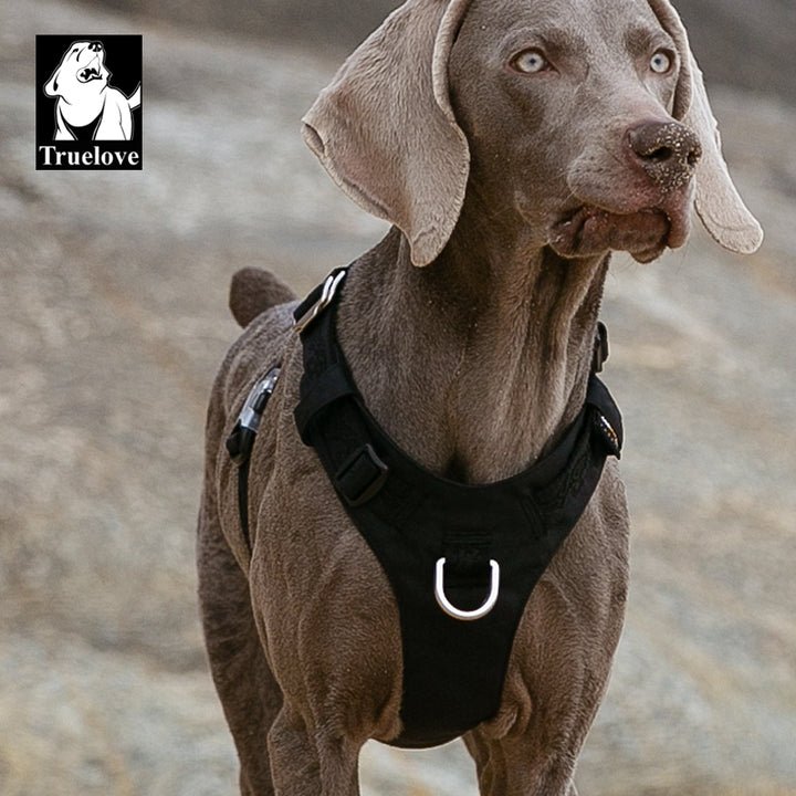 Lightweight Harness Black L - NuSea