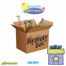 Mystery Box+ BIG SURPRISE- Boy's Birthday
