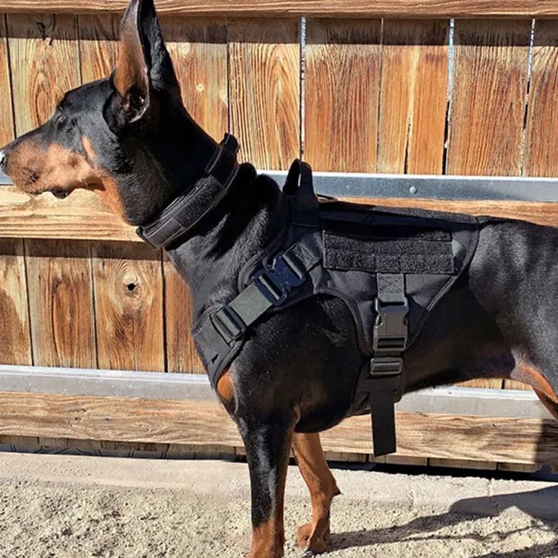 No Pull Adjustable Reflective Tactical Harness for Military Service Dogs - NuSea