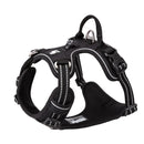 No Pull Harness Black M - NuSea