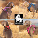 No Pull Harness Blue L - NuSea