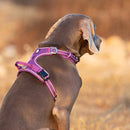 No Pull Harness Purple M - NuSea