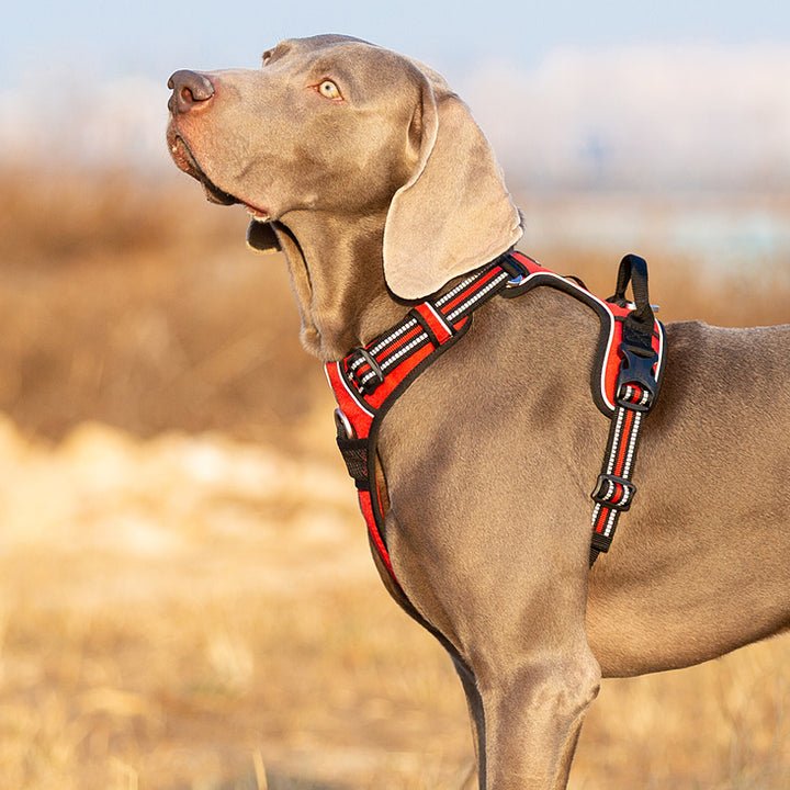 No Pull Harness Red M - NuSea