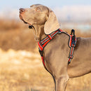 No Pull Harness Red M - NuSea