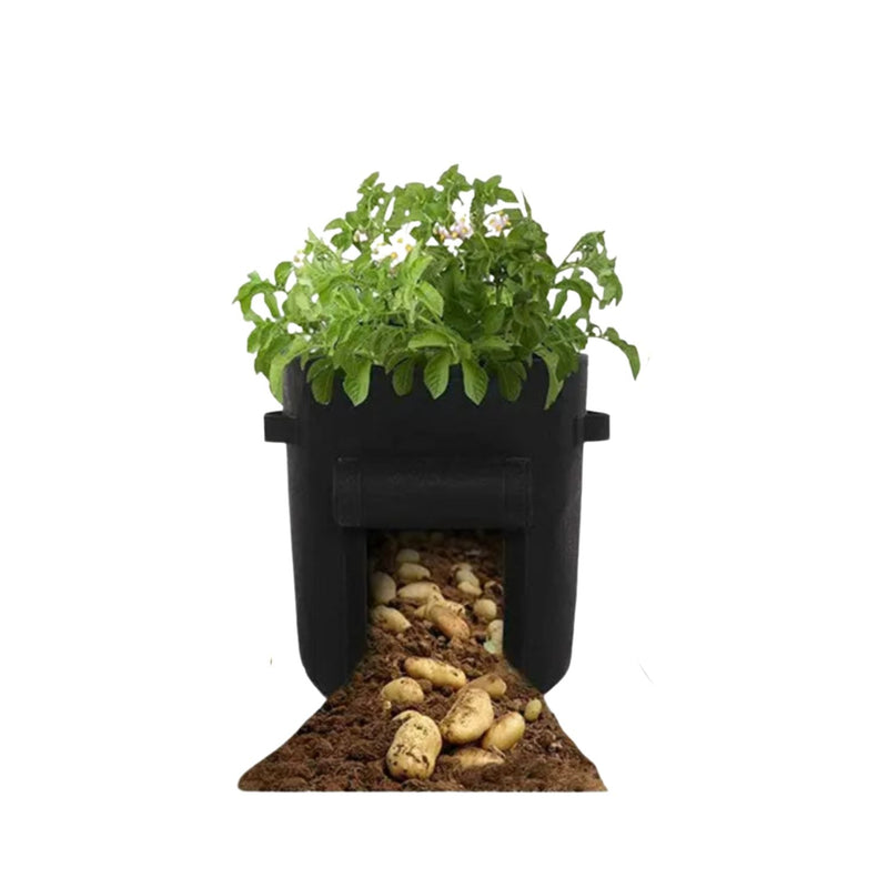 NOVEDEN 5 Packs 10 Gallon Plant Grow Bags with Window Flap (Black) - NuSea