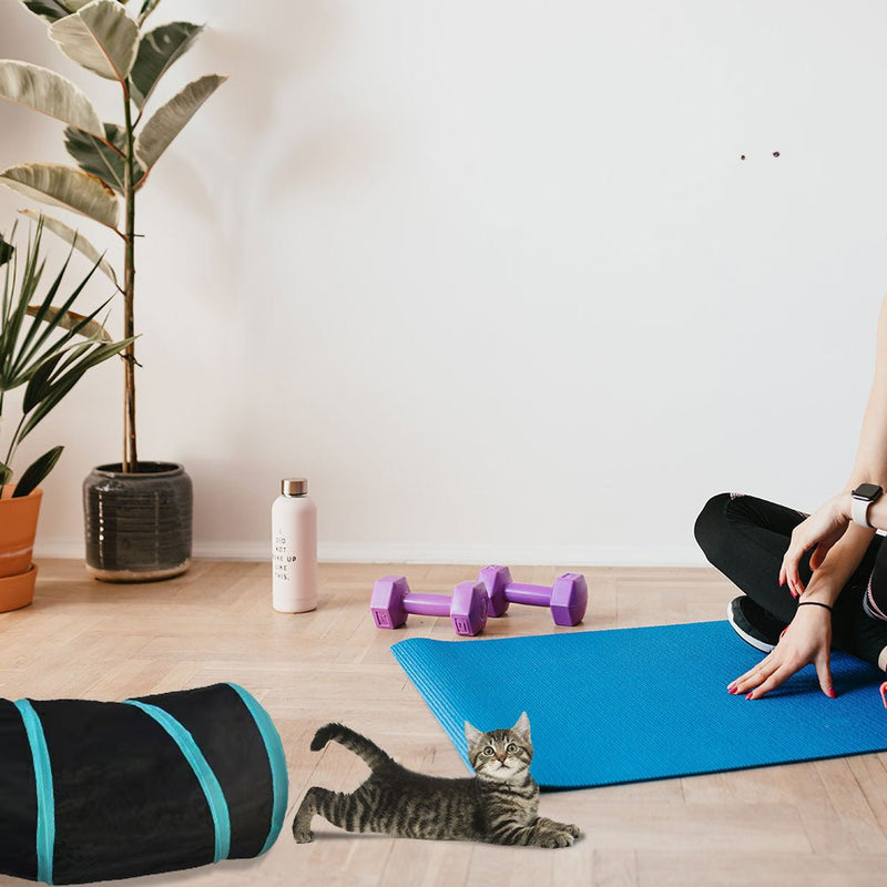 Pet Foldable Funny Exercise 4 - Way Tunnel Play Toy - NuSea