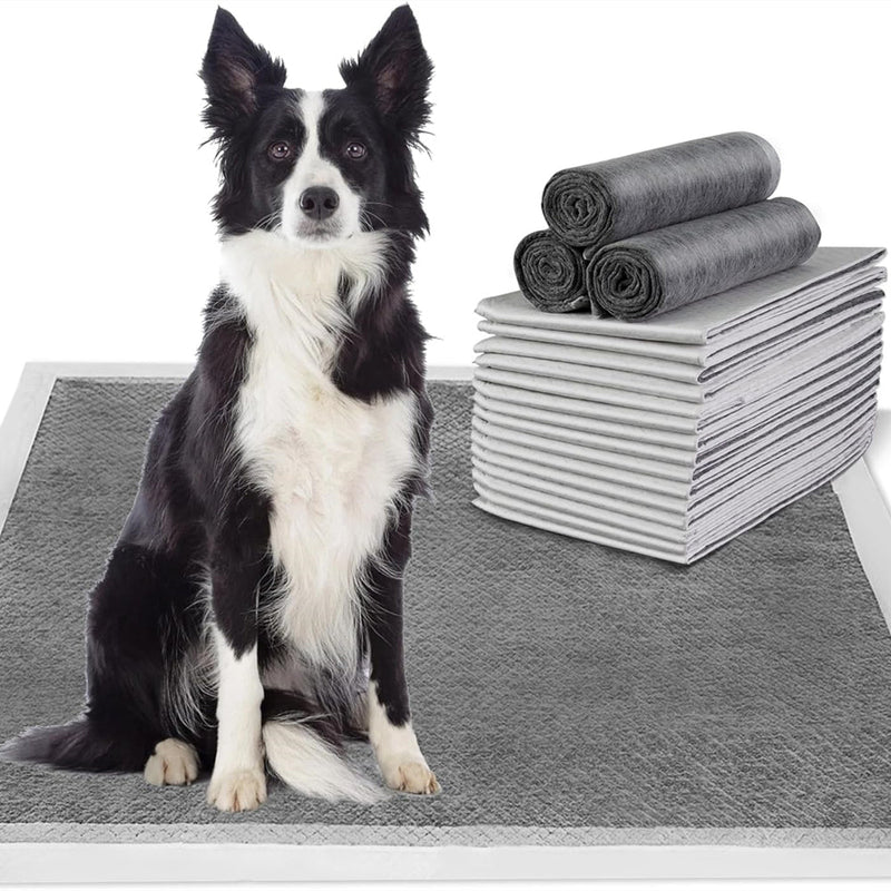 PETSWOL 100/50/40/20 Pack Disposable Dog Training Pads - NuSea