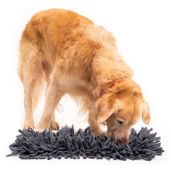 PETSWOL Dog Snuffle Mat - Premium Interactive Toy For Calm And Happy Pups - NuSea