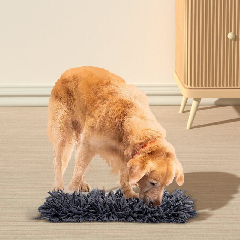 PETSWOL Dog Snuffle Mat - Premium Interactive Toy For Calm And Happy Pups - NuSea