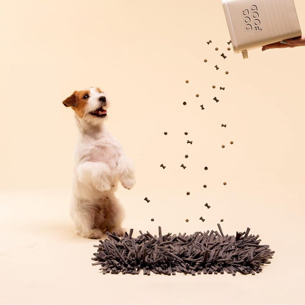 PETSWOL Dog Snuffle Mat - Premium Interactive Toy For Calm And Happy Pups - NuSea