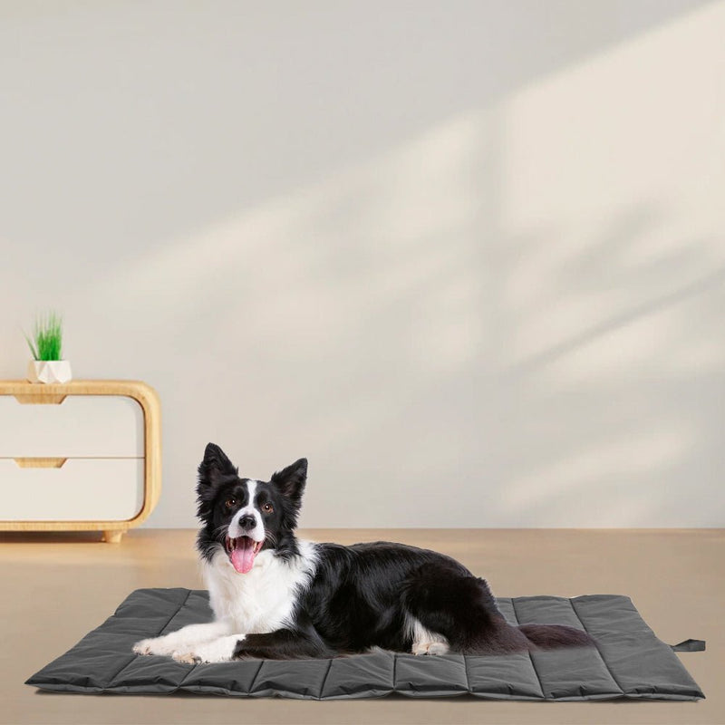 PETSWOL Waterproof & Portable Outdoor Dog Bed - Large Size 105x65cm - NuSea