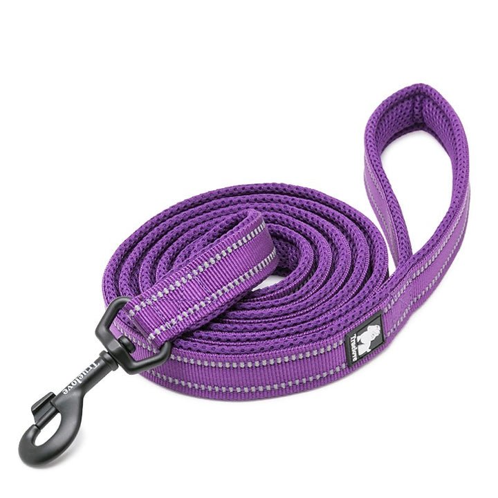 Reflective Pet Leash 2 meters Purple L - NuSea