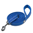 Reflective Pet Leash 2 meters Royal Blue M - NuSea