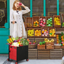 STORFEX Foldable Shopping Utility Cart with 360° Rotate Wheel - NuSea