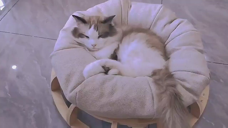 Timber Gyro Cat Nest Bed - NuSea