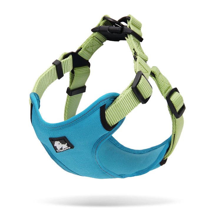 Urban Harness Blue/Green L - NuSea