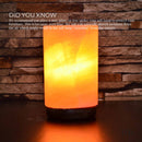 USB Himalayan Salt Lamp - Cylinder Carved Shape Pink Crystal Rock LED Light - NuSea