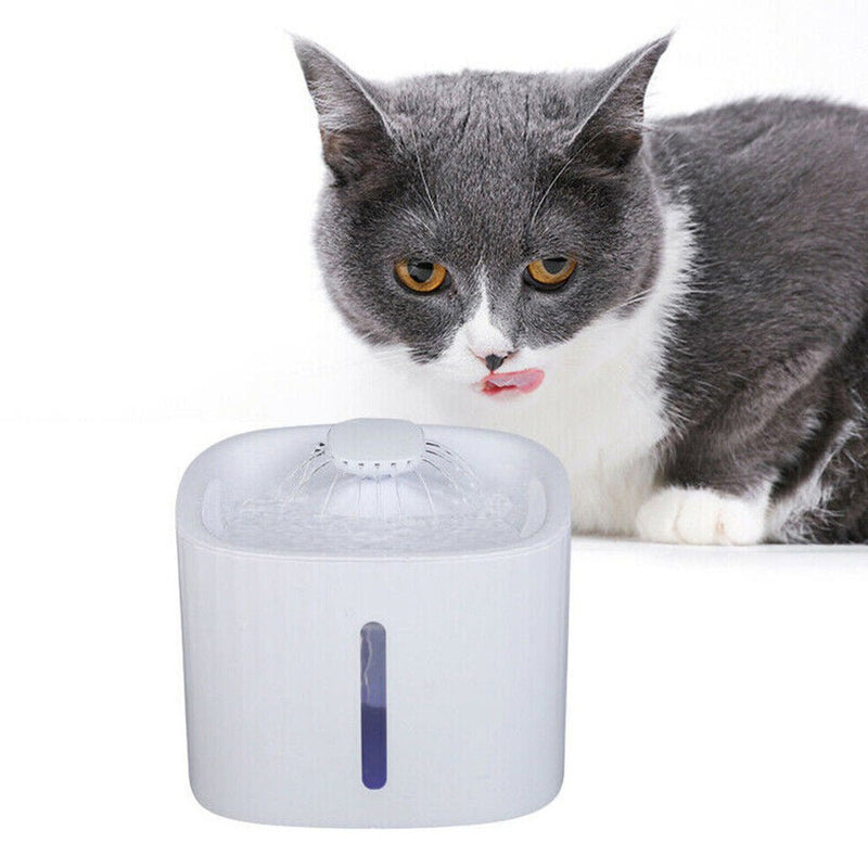 USB Powered Large Capacity Noise Free Pet Water Fountain - NuSea