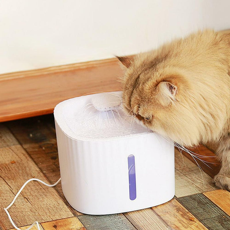 USB Powered Large Capacity Noise Free Pet Water Fountain - NuSea