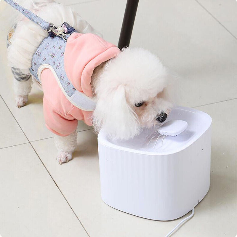 USB Powered Large Capacity Noise Free Pet Water Fountain - NuSea