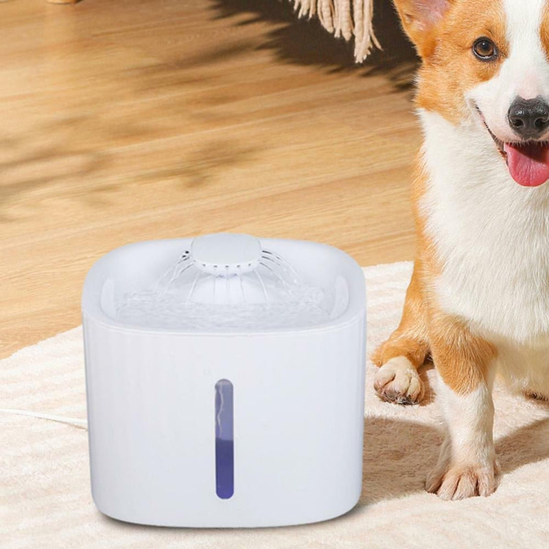 USB Powered Large Capacity Noise Free Pet Water Fountain - NuSea