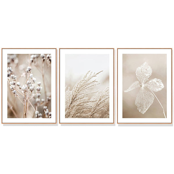 Wall Art 50cmx70cm Dried Flower 3 Sets Wood Frame Canvas - NuSea