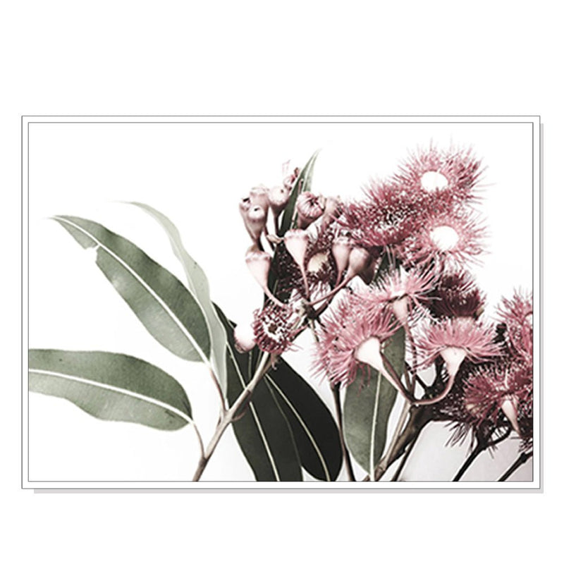 Wall Art 50cmx70cm Eucalyptus in Bloom White Frame Canvas - NuSea