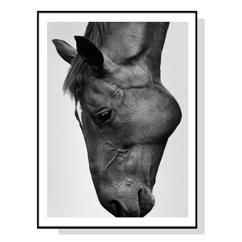 Wall Art 50cmx70cm Modern Black Horse Black Frame Canvas - NuSea