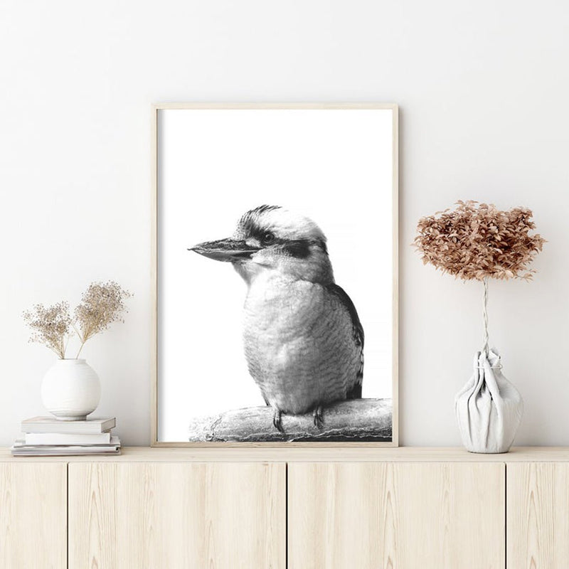 Wall Art 70cmx100cm Kookaburra Black Frame Canvas - NuSea