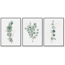 Wall Art 80cmx120cm Eucalyptus Plant 3 Sets Black Frame Canvas - NuSea