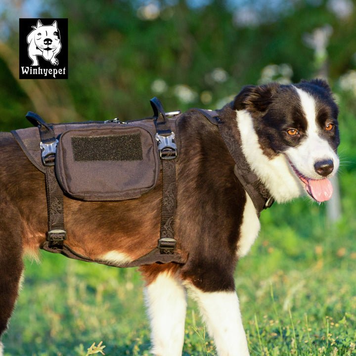 Whinhyepet Military Harness Black L - NuSea