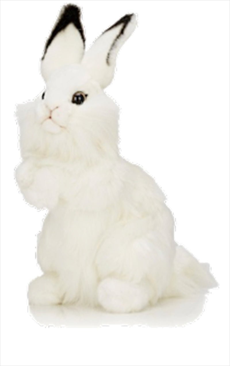 White Rabbit 32cm H - NuSea