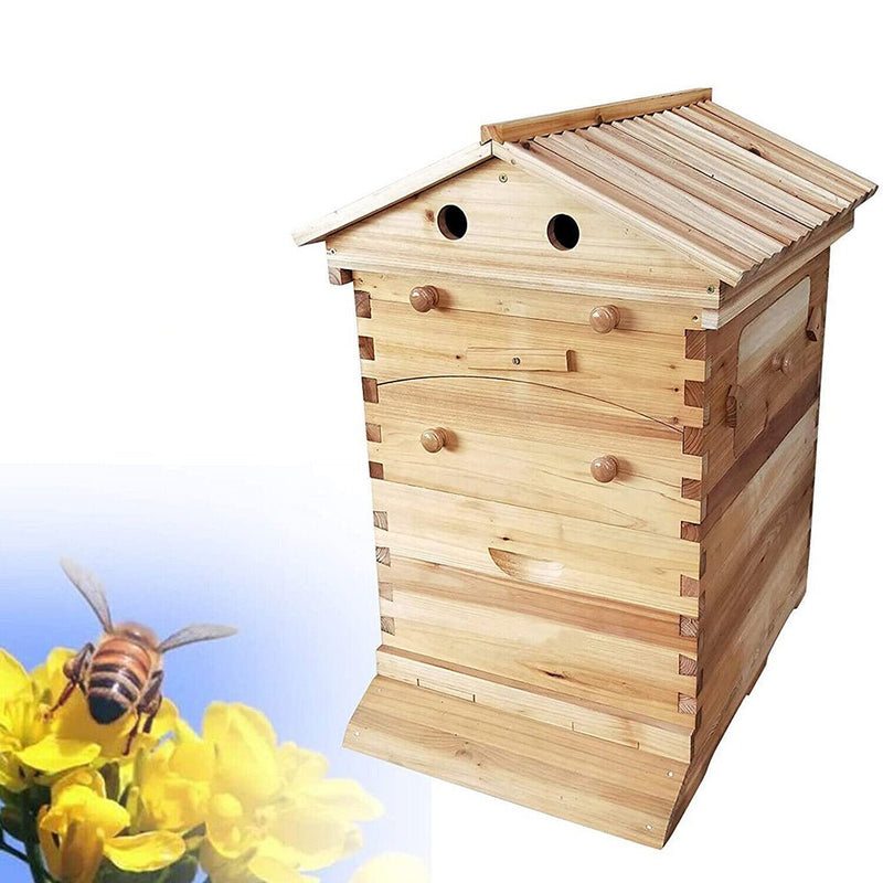 Wooden Beekeeping Beehive Housebox with Auto - Flowing Honey Frames - NuSea