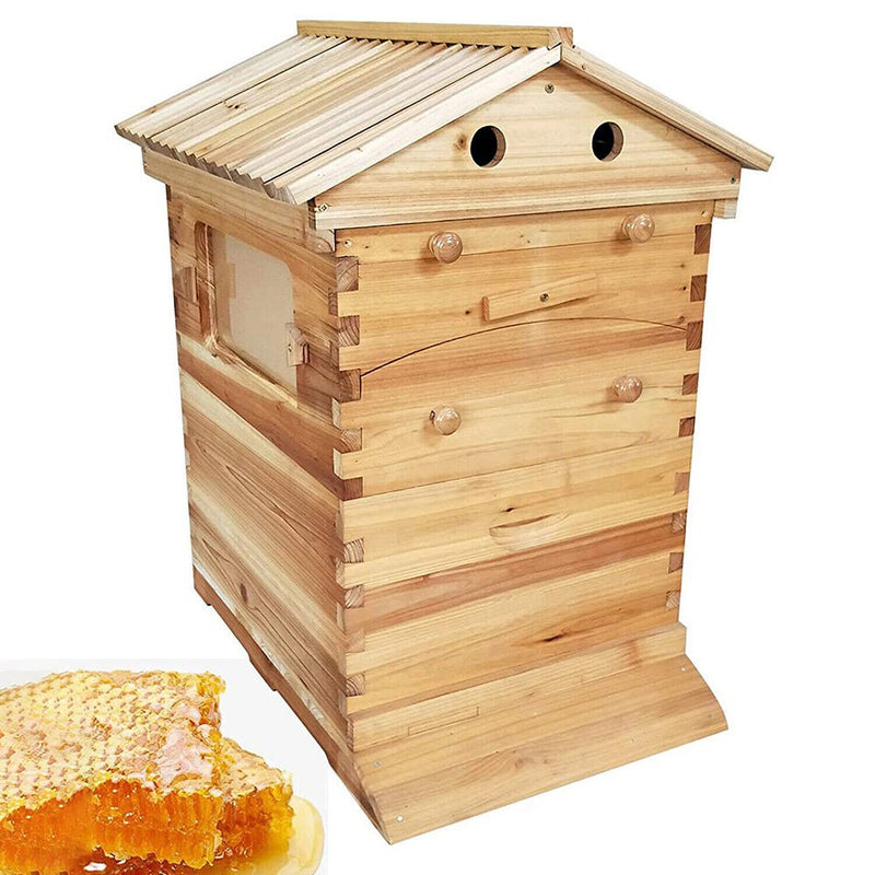 Wooden Beekeeping Beehive Housebox with Auto - Flowing Honey Frames - NuSea