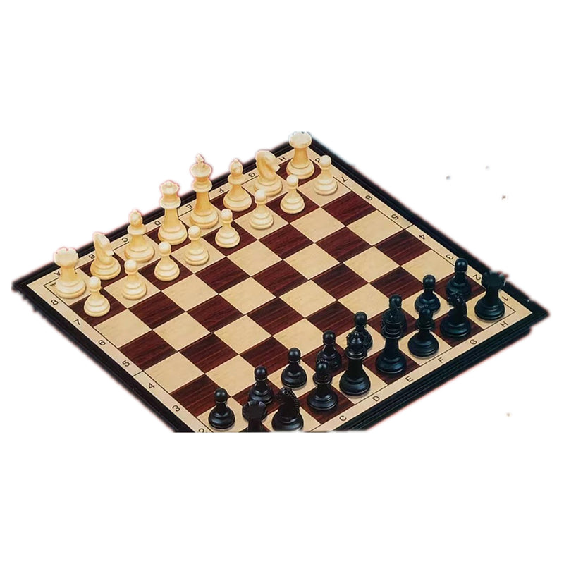Chess set with magnet box - NuSea