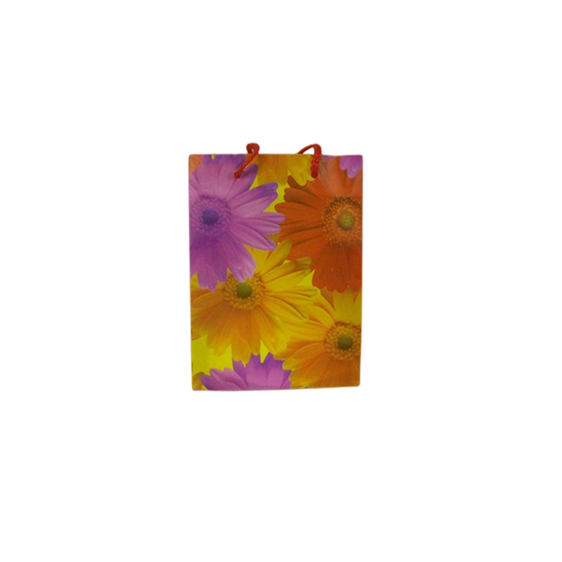12x Gift flower bags-extra small - NuSea